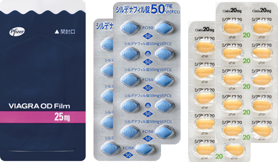 EDお試しセット2